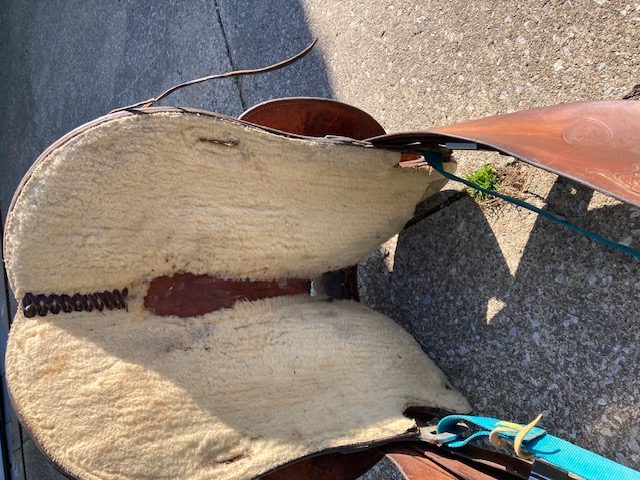 saddle